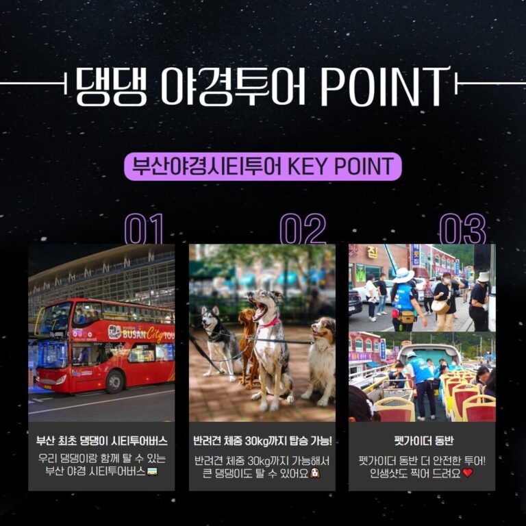 Busan City Tour Bus: Complete Guide (2026)